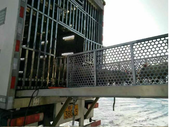 歐馬可4.2米豬仔運輸車（豪華型）